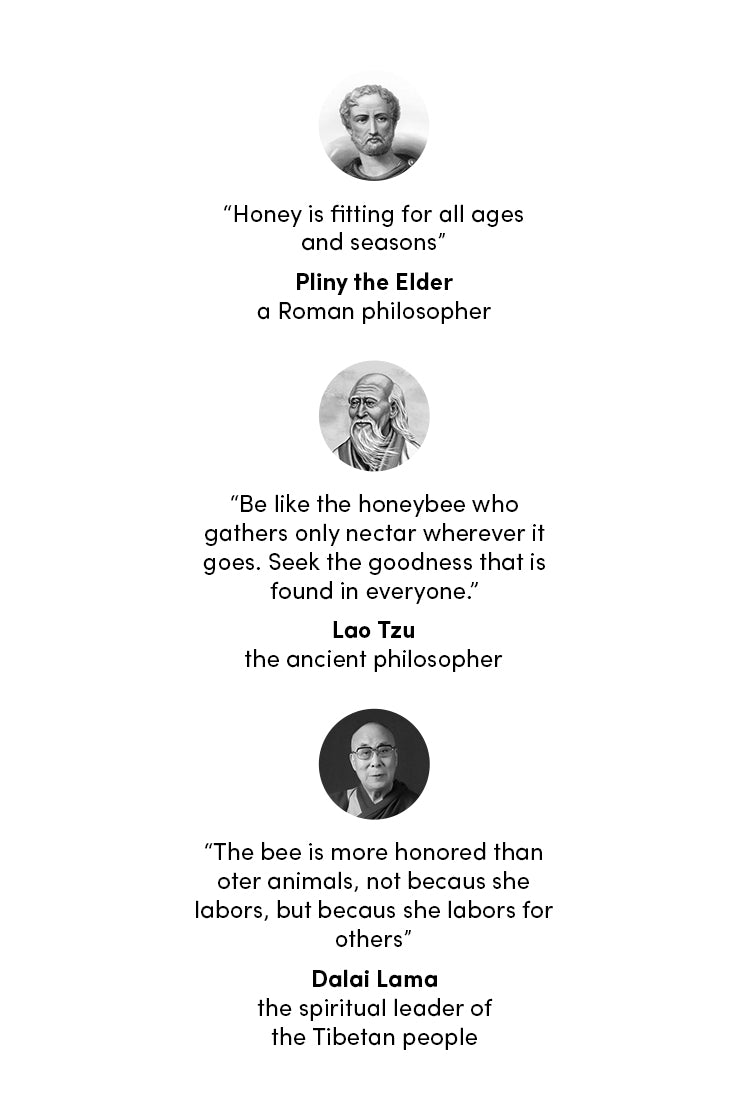 beekeeping history
