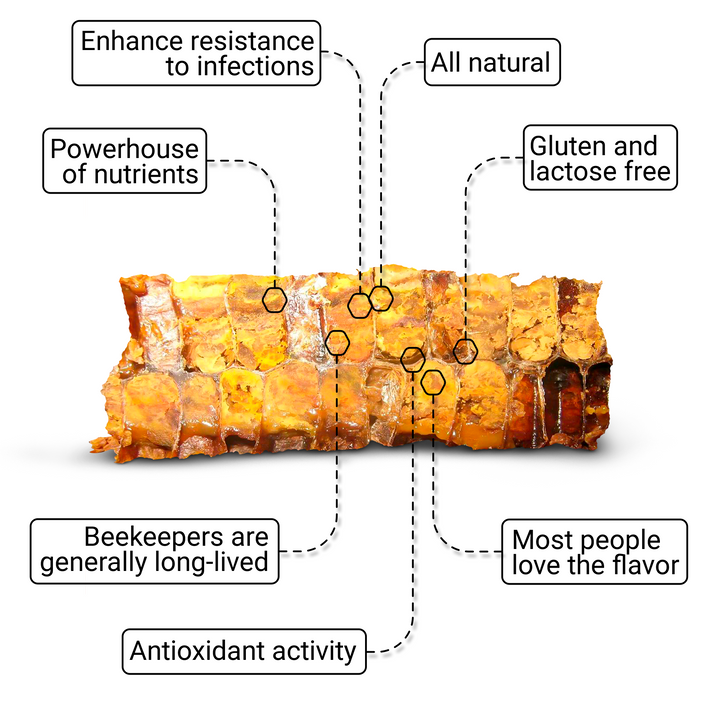 bee bread supplement for sport