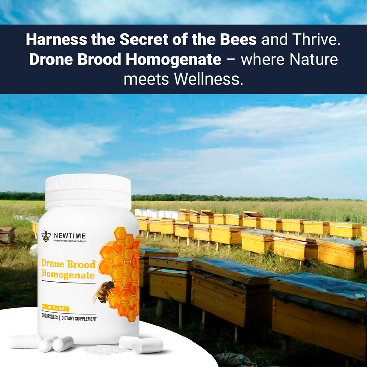 Organic Drone Brood Homogenate for athletes health